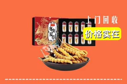 忻州神池县回收冬虫夏草